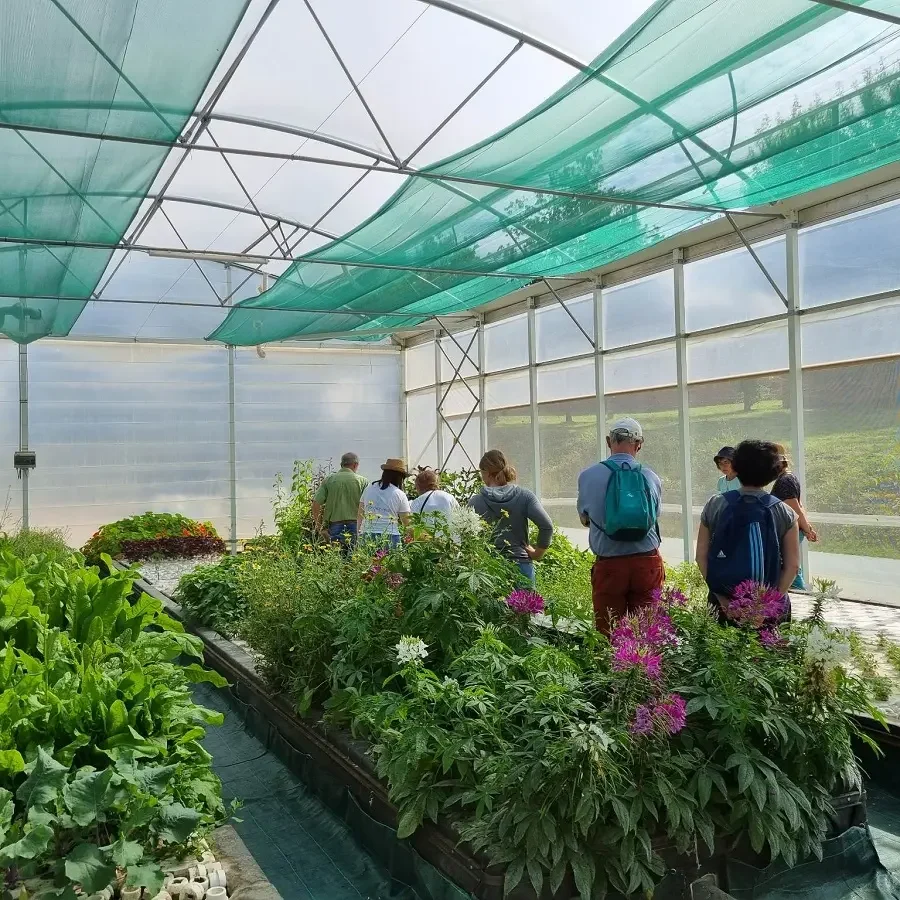 Visites à la ferme Mongez-moi, accueil du public avec le réseau bienvenue à la ferme